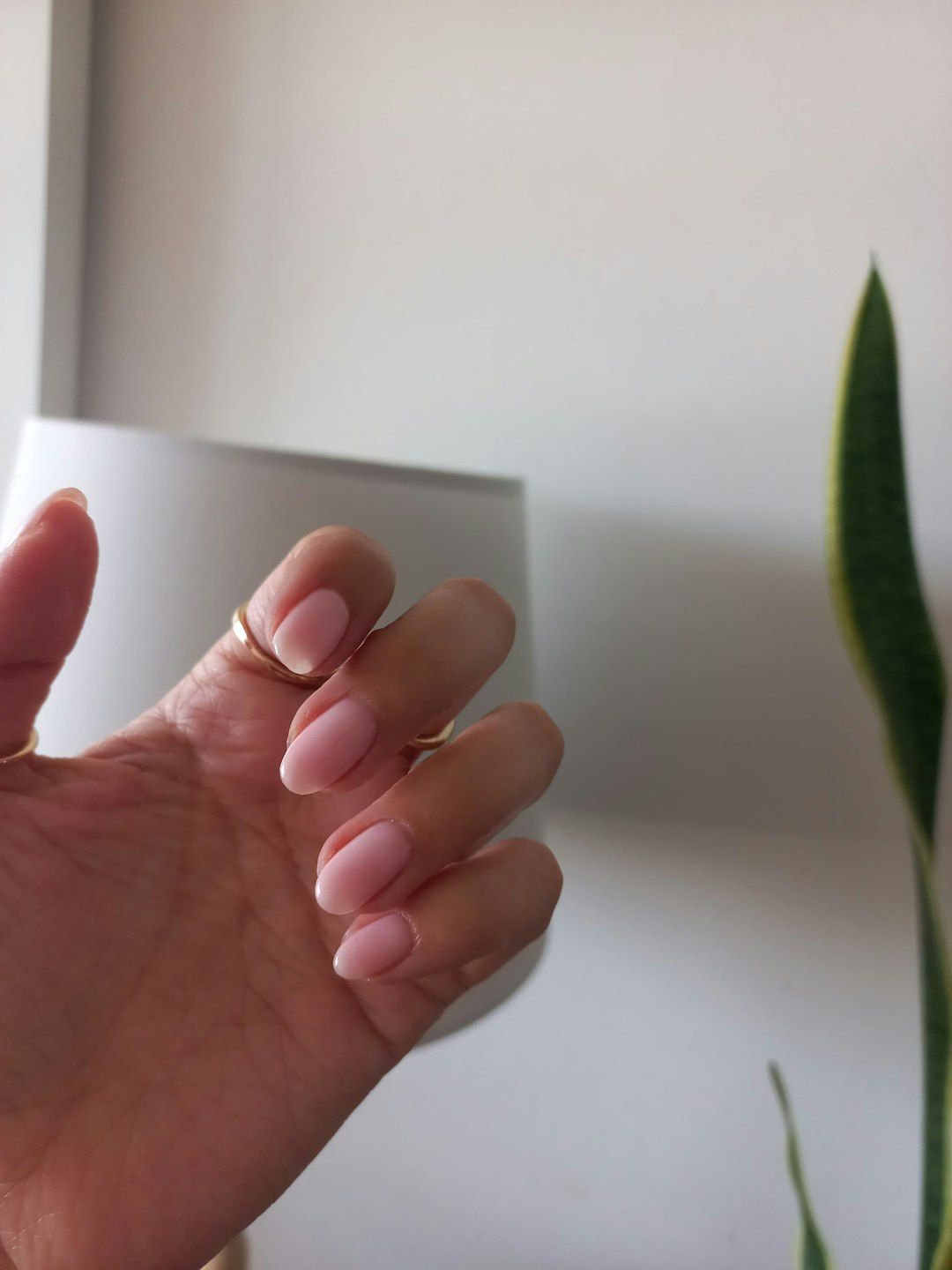 Nurse Your Nails
